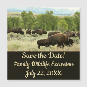 Wyoming Bison Nature Save the Date Magnetkarte