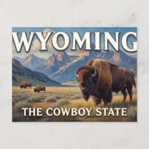 Wyoming Bison Western Reise Geschenk Postkarte