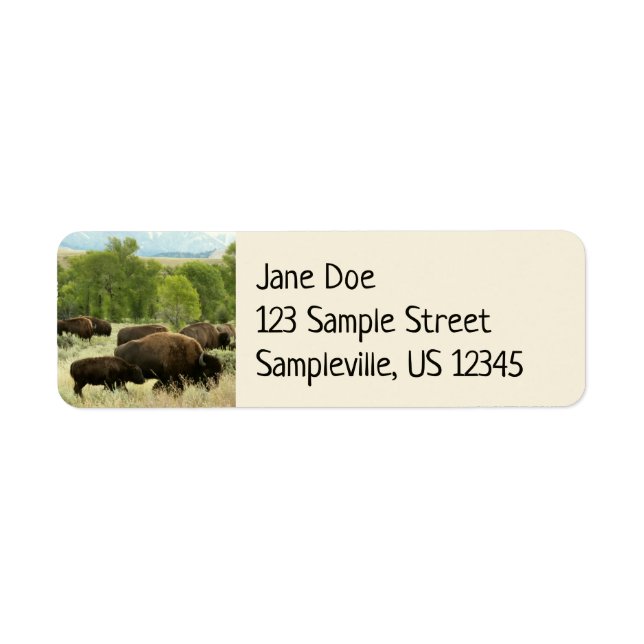 Wyoming Bisons (Vorne)