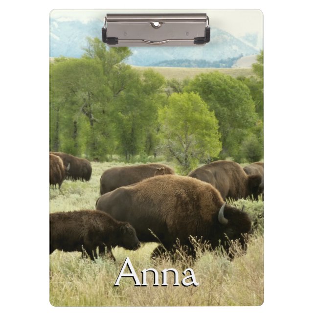 Wyoming-Bisons Klemmbrett (Vorderseite)