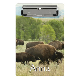 Wyoming-Bisons Mini Klemmbrett