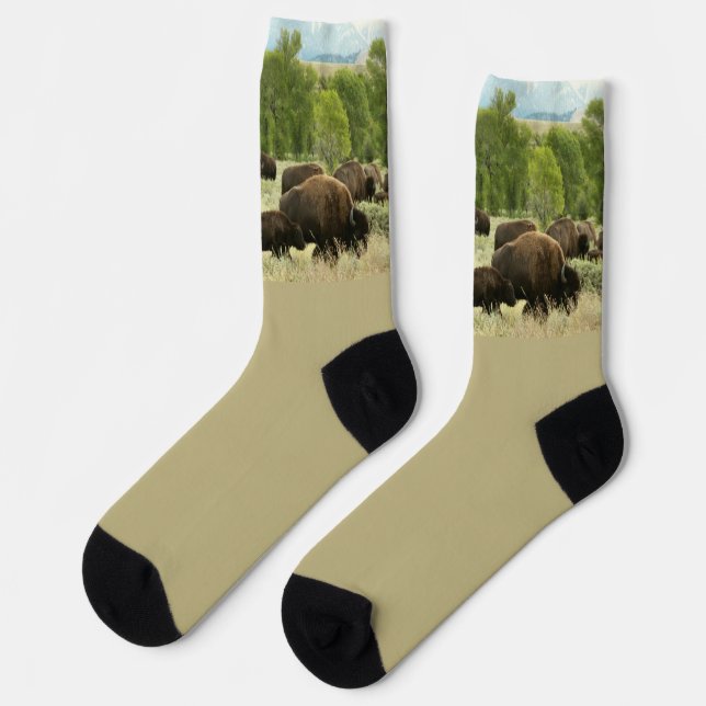 Wyoming-Bisons Socken (Linkes Detail)