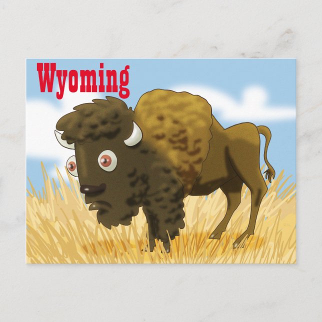 Wyoming Buffalo Postkarte (Vorderseite)