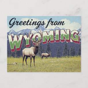 Wyoming-Elch Grand Teton Mountains Postkarte