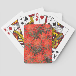 Wyoming, Lincoln Landkreis, Wüstenpinsel Spielkarten