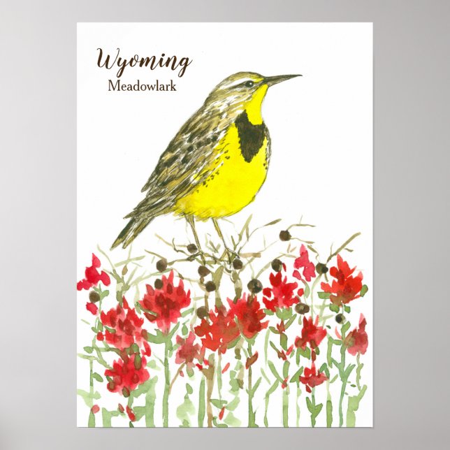 Wyoming Meadowlark Songbird Indian Paintbrush Poster (Vorne)