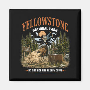 Wyoming Mountains Nationalpark Nicht Die Streichel Magnet