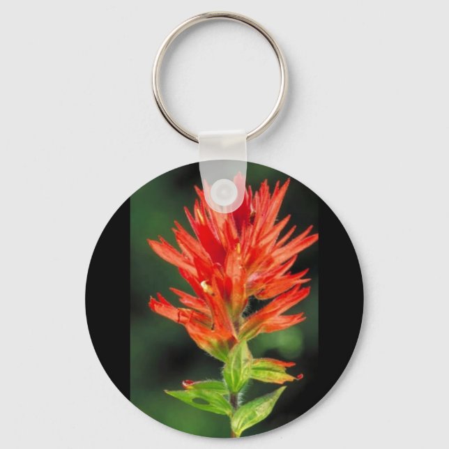 Wyoming Paintbrush Schlüsselanhänger (Vorderseite)