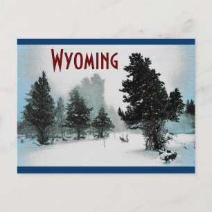 Wyoming Postcard Postkarte