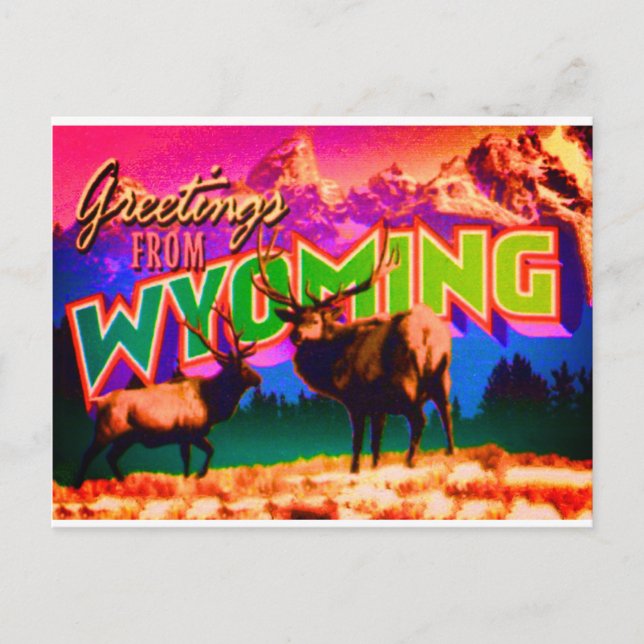 Wyoming Postcard Postkarte (Vorderseite)
