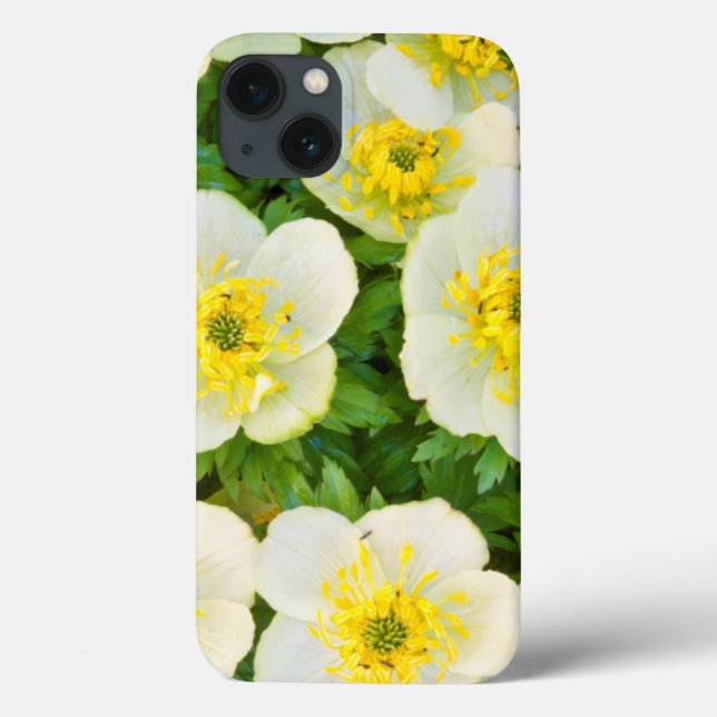 Wyoming, Sublette County, Close-up of a group Case-Mate iPhone Hülle (Rückseite)