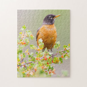 Wyoming, Sublette County, Ein Wanderdrossel Puzzle