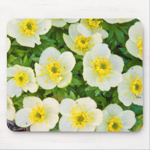 Wyoming, Sublette-Landkreis, Nahe Gruppenbildung Mousepad