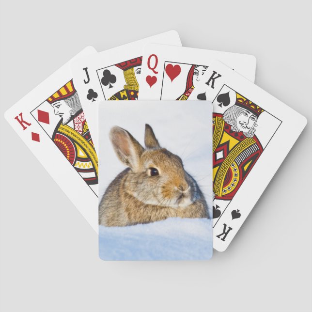 Wyoming, Sublette Landkreis, Nuttall's Cottontail Spielkarten (Rückseite)
