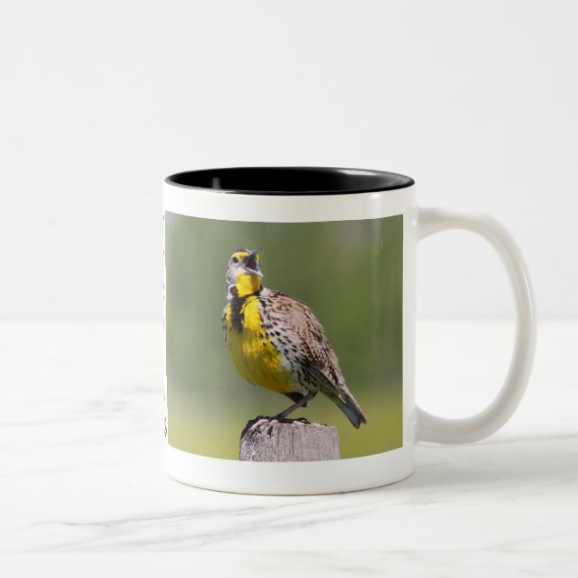 Wyoming Tasse-Meadowlark Zweifarbige Tasse (Rechts)
