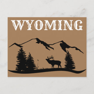 Wyoming Travel Postcard Postkarte