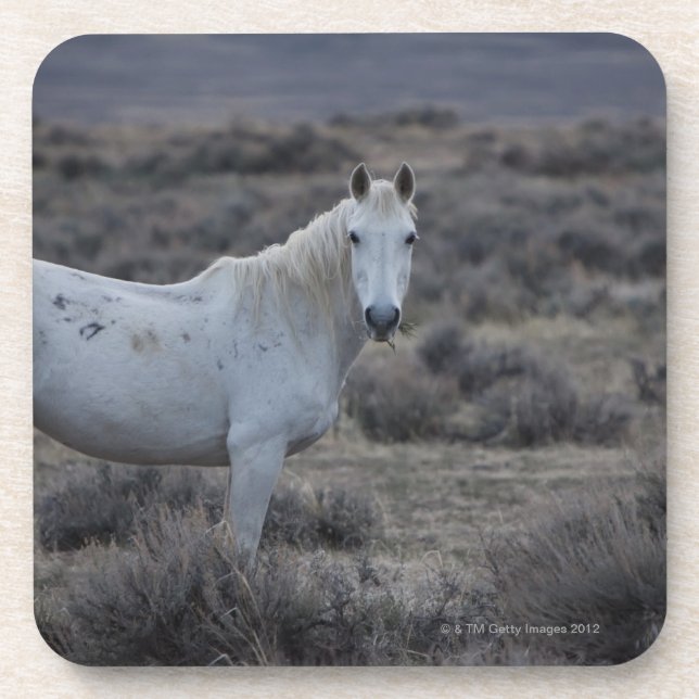 Wyoming, USA Getränkeuntersetzer (Vorderseite)