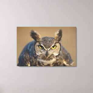 Wyoming, USA Leinwanddruck