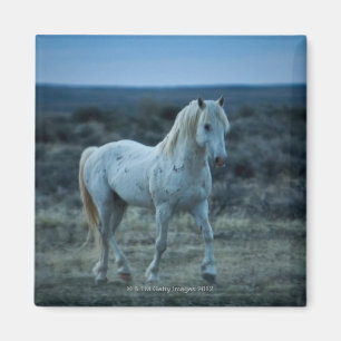 Wyoming, USA Magnet
