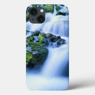Wyoming. USA. Periodischer Frühling während der Pe Case-Mate iPhone Hülle