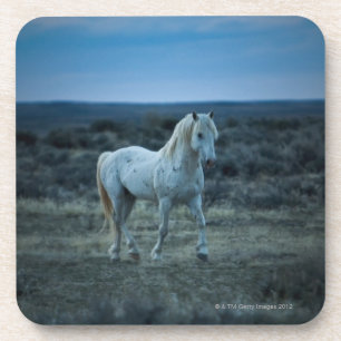 Wyoming, USA Untersetzer
