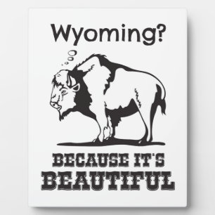 Wyoming? Weil es schön ist Fotoplatte