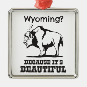 Wyoming? Weil es schön ist Ornament Aus Metall