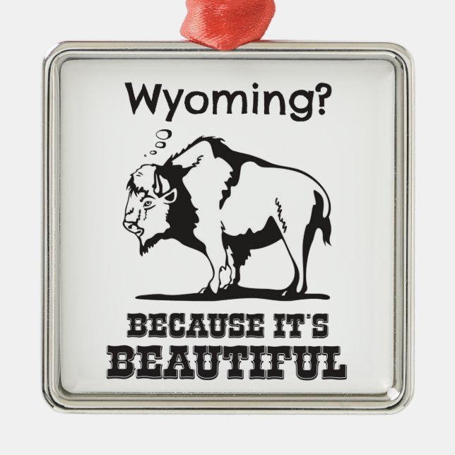 Wyoming? Weil es schön ist Ornament Aus Metall (Vorne)