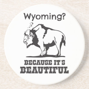 Wyoming? Weil es schön ist Sandstein Untersetzer
