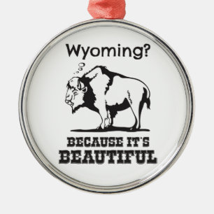 Wyoming? Weil es schön ist Silbernes Ornament
