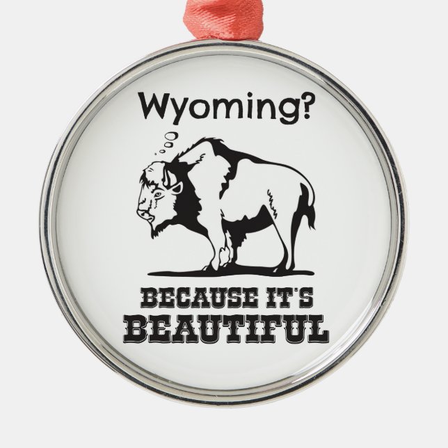 Wyoming? Weil es schön ist Silbernes Ornament (Vorne)