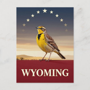 Wyoming Wiesenlerche Staat Vogel Erbe Postkarte