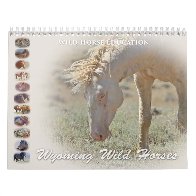 Wyoming Wild Horses Kalender (Titelbild)