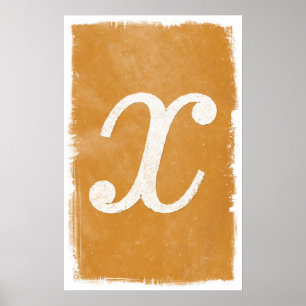 X art - Math Posters Poster