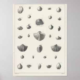 X Carboniferon Poster