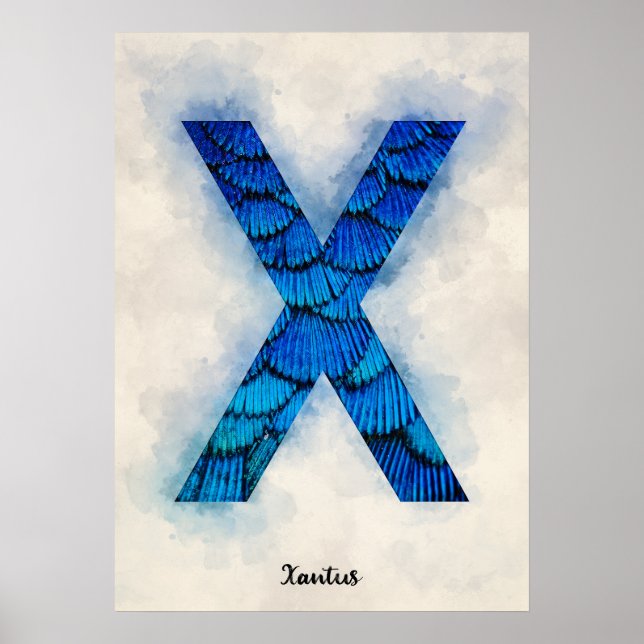 X ist für Xantus Poster (Vorne)