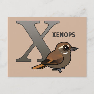 X ist für Xenops Postkarte