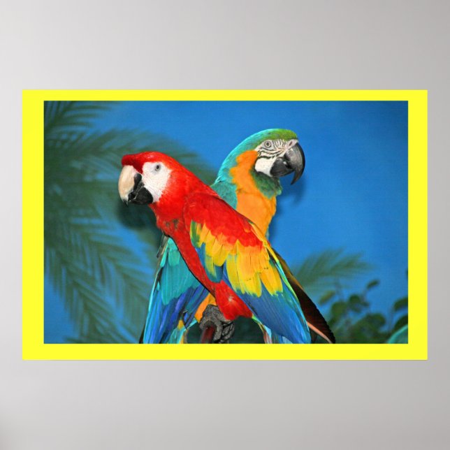 X Markiert die Spot-Papageien Poster (Vorne)