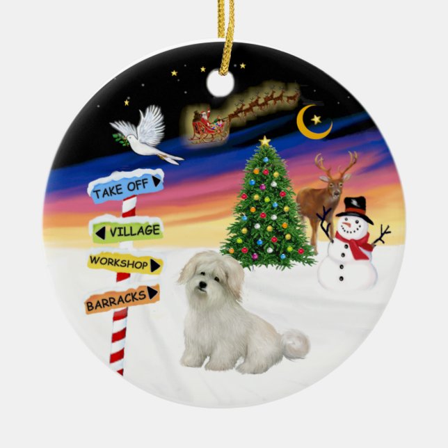 X Mas Signs - Coton de Tulear Keramikornament (Vorne)