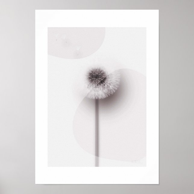 X-ray Botanical Art - Dandelion Poster (Vorne)