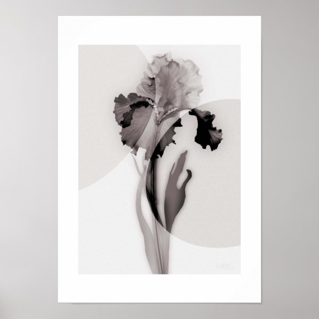 X-ray Botanical Art - Iris Poster (Vorne)