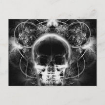 X-Ray Butterfly Fraktal Skull - B&W