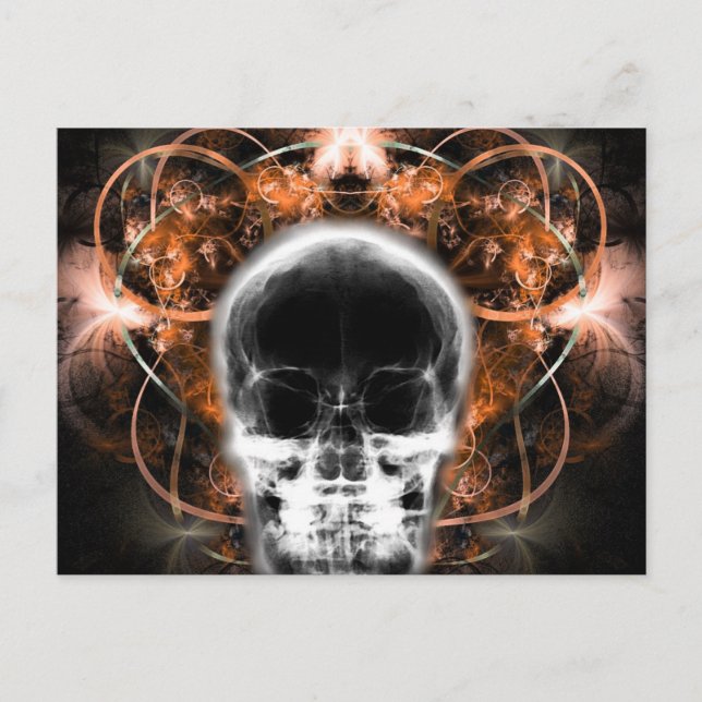 X-Ray Butterfly Fraktal Skull - Orange Postkarte (Vorderseite)