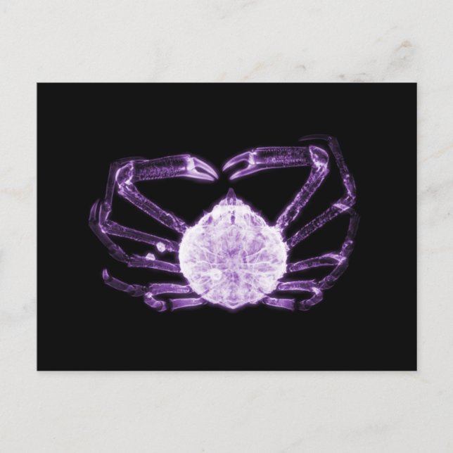 X-Ray Crab Postkarte (Vorderseite)