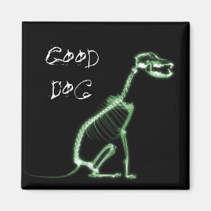 X-RAY GOOD HUND SKELETON SITZEN - GRÜNE MAGNET