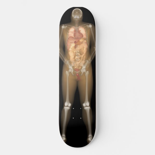 X-Ray Man Deck - Longboard Skateboard (Vorderseite)