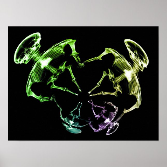 X-Ray Skeleton-Familie 4 Poster (Vorne)