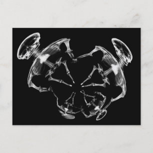 X-Ray Skeleton Family B&W Postkarte