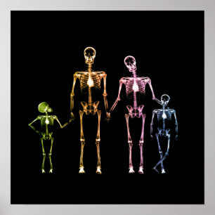 X-Ray Skeleton Family - Multicolor 4 Poster