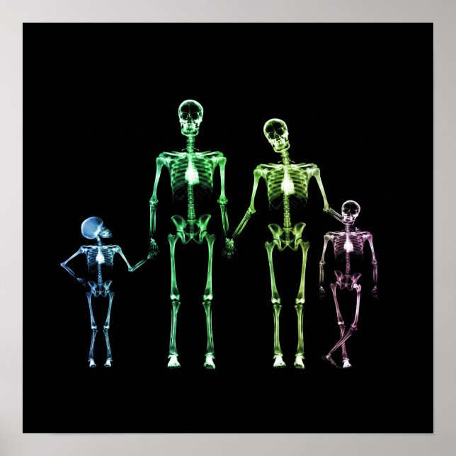 X-Ray Skeleton Family - Multicolor 5 Poster (Vorne)